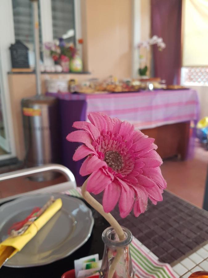 Ghiro Ghiotto Bed & Breakfast Pietra Ligure Ngoại thất bức ảnh