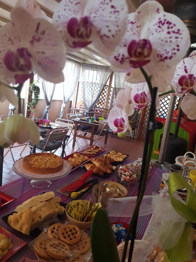 Ghiro Ghiotto Bed & Breakfast Pietra Ligure Ngoại thất bức ảnh